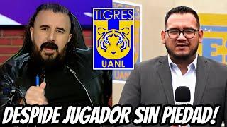 ¡URGENTE: TIGRES CONFIRMA EL PÉSIMO PANORAMA! ¡PAUNOVIC PUEDE CAER! NOTICIAS TIGRES UANL