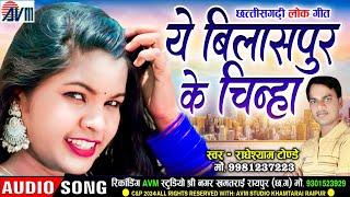 Radheshyam Tonde | Cg Song | Ye Bilaspur Ke Chinha | New Chhattisgarhi Gana 2024 | AVM TADKA