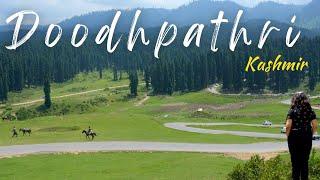 Doodhpathri | Valley of Milk | Beautiful Kashmir | Vlog 3