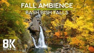 8K Fall Ambience - Relaxing Sounds of Flowing River and Waterfall for Sleep - Bash Bish Falls, NY