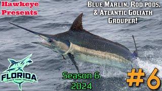 Ultimate Fishing Simulator S6 #6 - Florida DLC: Blue Marlin, Rod Pods, & Atlantic Goliath Grouper!
