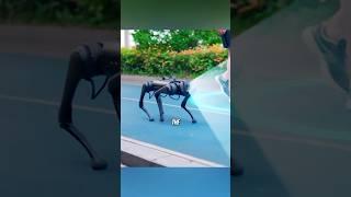 The Robot That You Can Pet