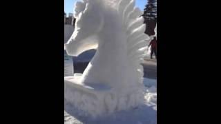 icewhyte '14