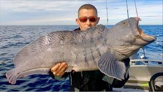 Deep Sea Fishing in the Arctic Circle - Huge Cod, Coalfish, Wolffish and Halibut | The Fish Locker