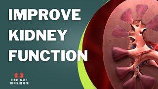 E 2: How do you lower creatinine and protein in the urine? Plant Based Kidney Health