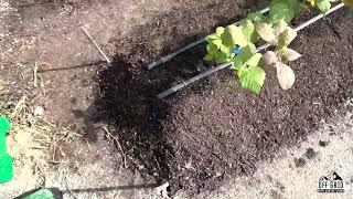 A Simple Drip Irrigation System on Raised Garden Beds