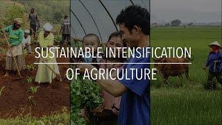 FAO Policy Series: Sustainable Intensification of Agriculture