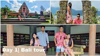 Bali tour | Day 1 | Bali tour guide| Tour plan | Travel vlog| ulun Danu temple|Handara Gate |