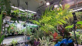 Fixing up The Growspace to Make Room For More Plants