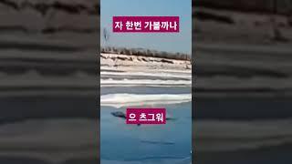 자 한번 가볼까나 으 츠그워 #블랙박스 #교통사고 #안전운전 #shorts
