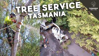 Professional Residential Tree Care and Maintenance (SHORT VERSION)