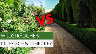 Diese Sträucher dürfen in deiner Hecke nicht fehlen!