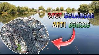 SPOT ANTI BONCOS..!! Mancing Mujair Di Spot Bolangan Harian Murah Meriah Ikan Melimpah