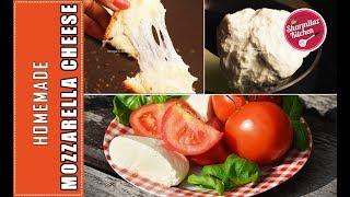 How To Make Mozzarella Cheese In 1 Minute -  WITHOUT RENNET - Cheese Toast - Sharmilazkitchen