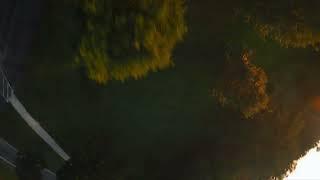 FPV Freestyle // Don't look at the trees when diving!!!