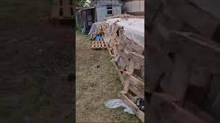 Отзыв о компании ДомФин  строительство каркасных домов A-Frame