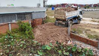 Wonderful Activity Project! Filling Land Dump Trucks And D31PX KOMATSU Bulldozer Fill flooded soil