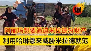 米拉德和哈琳娜最新后续，米拉德被阿丽玛给算计了，要分房子和家产