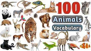 Animals Vocabulary In English ll 100 Animals Name In English With Pictures