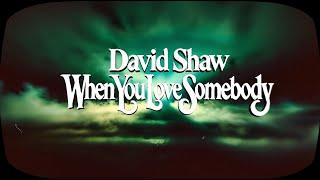 David Shaw - When You Love Somebody (Official Music Video)