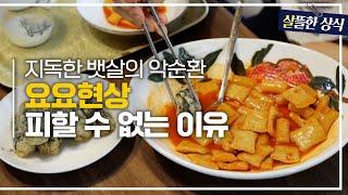 다이어트보다 힘든 요요현상단기간 다이어트의 허점! 요요현상 막는 방법은?｜다큐플러스｜JTBC 230806 방송