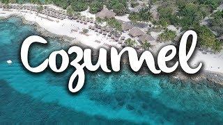 Cozumel, what to do in the seaweed free island