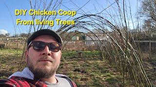 Building a House from Trees for my chickens