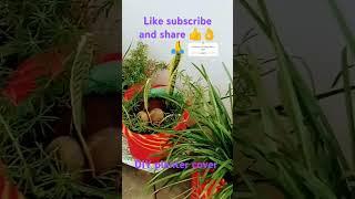 DIY lagie se banaye planter cover| with homemaker asha Sharma|