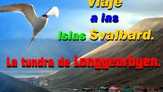 Viaje a las Islas Svalbard (Ártico Noruego): La tundra de Longyearbyen