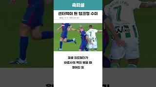 샌터백이 된 탱크형 수미