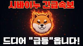 [시바이누] 드디어 급등의 바람이 분다!
