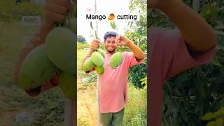 mango cutting #mango#sureshvlogs