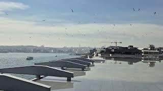 GALATA PORT TERAS'DAN  - İSTANBUL