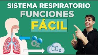 Cómo FUNCIONA el SISTEMA RESPIRATORIO  (Fácil)