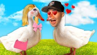 I Found LOVE as a Goose…