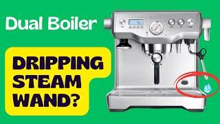 Breville Dual Boiler (BES920) - Leaking Steam Wand Repair