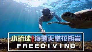 小琉球 | 海龜的天堂 | 花瓶岩 | 自由潛水 | FREEDIVING | VLOG-020