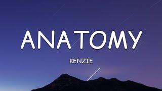 kenzie - anatomy (Lyrics)