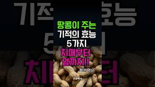 한 줌의 땅콩이 주는 기적의 효능 5가지 #땅콩 #효능 #건강 #건강정보 #치매예방 #암예방
