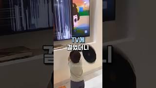 TV에 걸었더니 #생활용품 #블루라이트차단