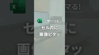 一瞬でハマる！セル内に画像ピタッこれで画像サイズ調整のムダな時間はゼロ！初心者でもできる簡単ワザ #Excel #パソコンスキル #仕事術 #定時退社 #エクセル初心者 #エクセル時短ワザ