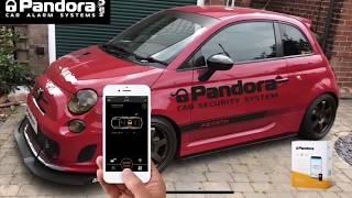 Low Modified Fiat 500 Abarth on AIR - Secured by Pandora Car security