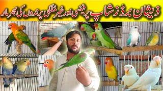 Visited at Zeshan Birds Shop Multan Gray Parrots Sunconure Ringneck Love birds available Here