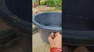 Jay Shiv Shankar Mahadevan  #song #love #sorts #new #funny #mahadev