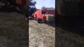 Prasowanie Siana Sipma Z-224/1 Zetor 5320 #sianokosy #youtubshorts #zetor #agriculture