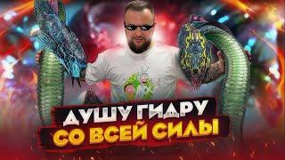 Тесты нового героя на гидре - будет новый рекорд? 4 гидра / Стрим Raid shadow legends