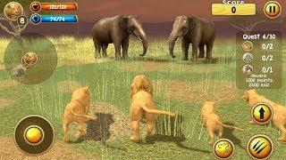 Wild Lion Simulator 3D (by Turbo Rocket Games) Android Gameplay [HD]