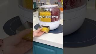 버튼만 누르면 정량 쏙! 곡물정리 끝 #살림템추천
