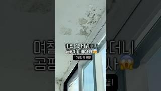 외출하고 왔더니…곰팡이 폭탄 10분 컷으로 퇴출 했어요!! #곰팡이제거 #천장곰팡이 #생활꿀팁