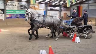 Fahrturnier Ibbenbüren 9.3.2025 (Sicon Cup)